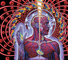 Karya-karya Alex Grey 